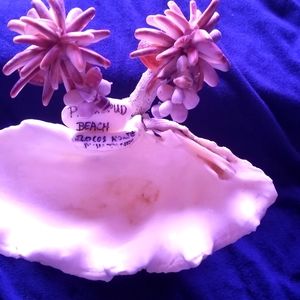Soap holder Sea Shell and Coral  size 8" L × 7" W